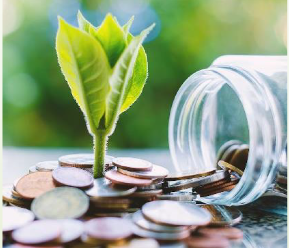 Business Sustainability